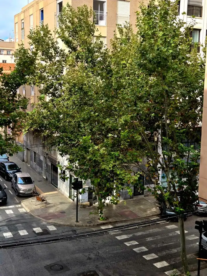 Flat for sale in Elche ciudad, imagen 39