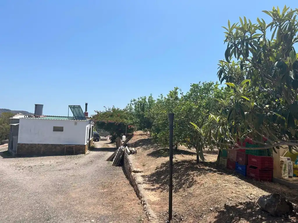 Finca rústica en venta en Sot de Ferrer
