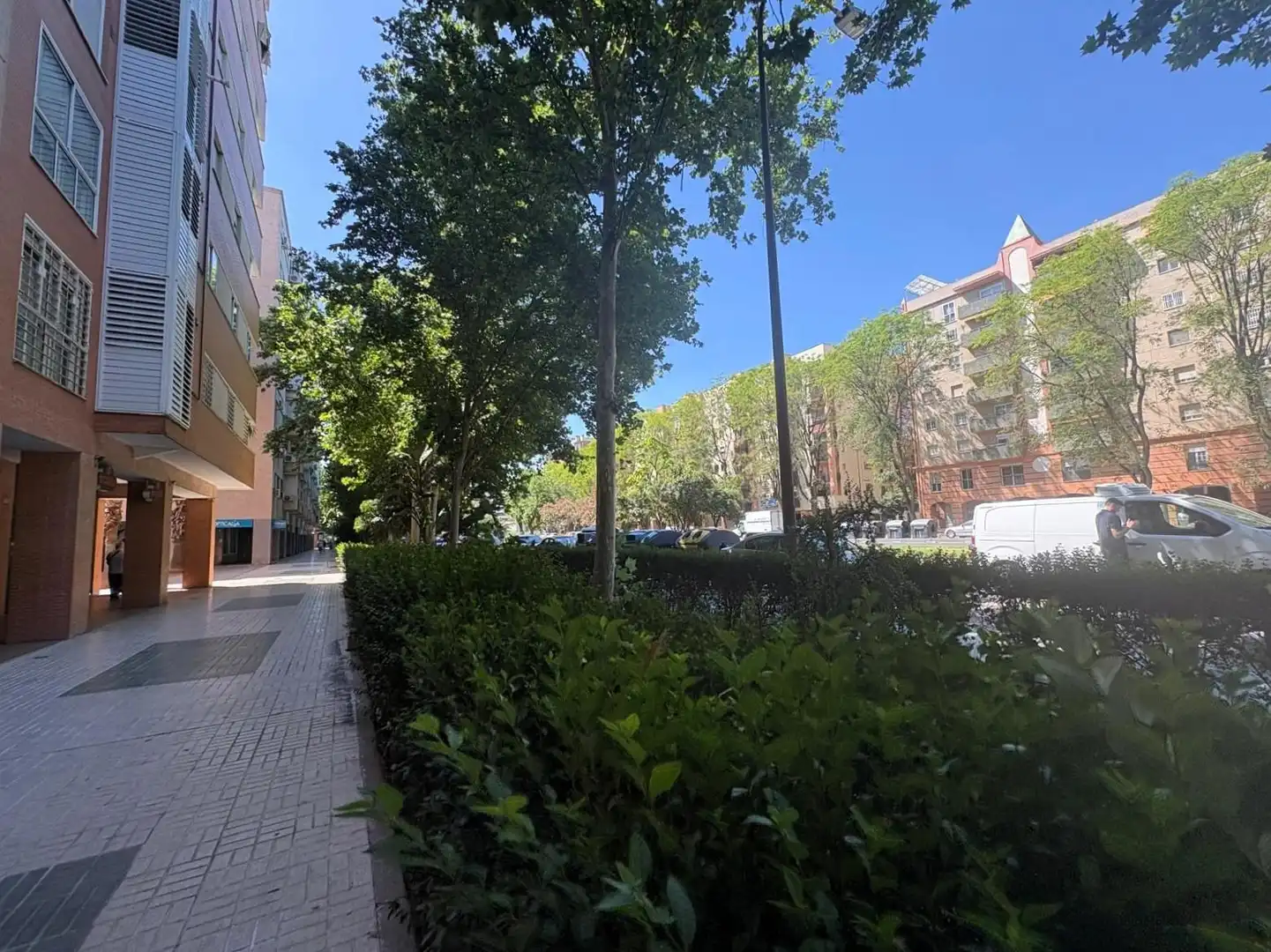 Appartamento con terrazza in affitto a Avenida Avenida Ciencias, imagen 56
