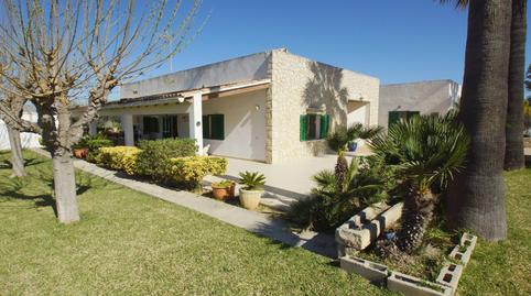 Foto 3 de Finca rústica en venda a Port d'Alcúdia - Platja d'Alcúdia, Alcúdia