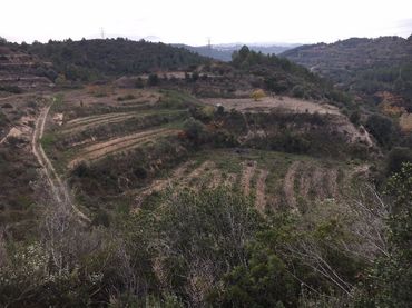 Terreny rústic en venda a Ullastrell