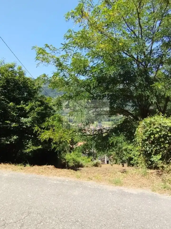 Terreny rústic en venda a LUGAR OS VALOS . SAN ROMAN DE SAXAMONDE, imagen 25