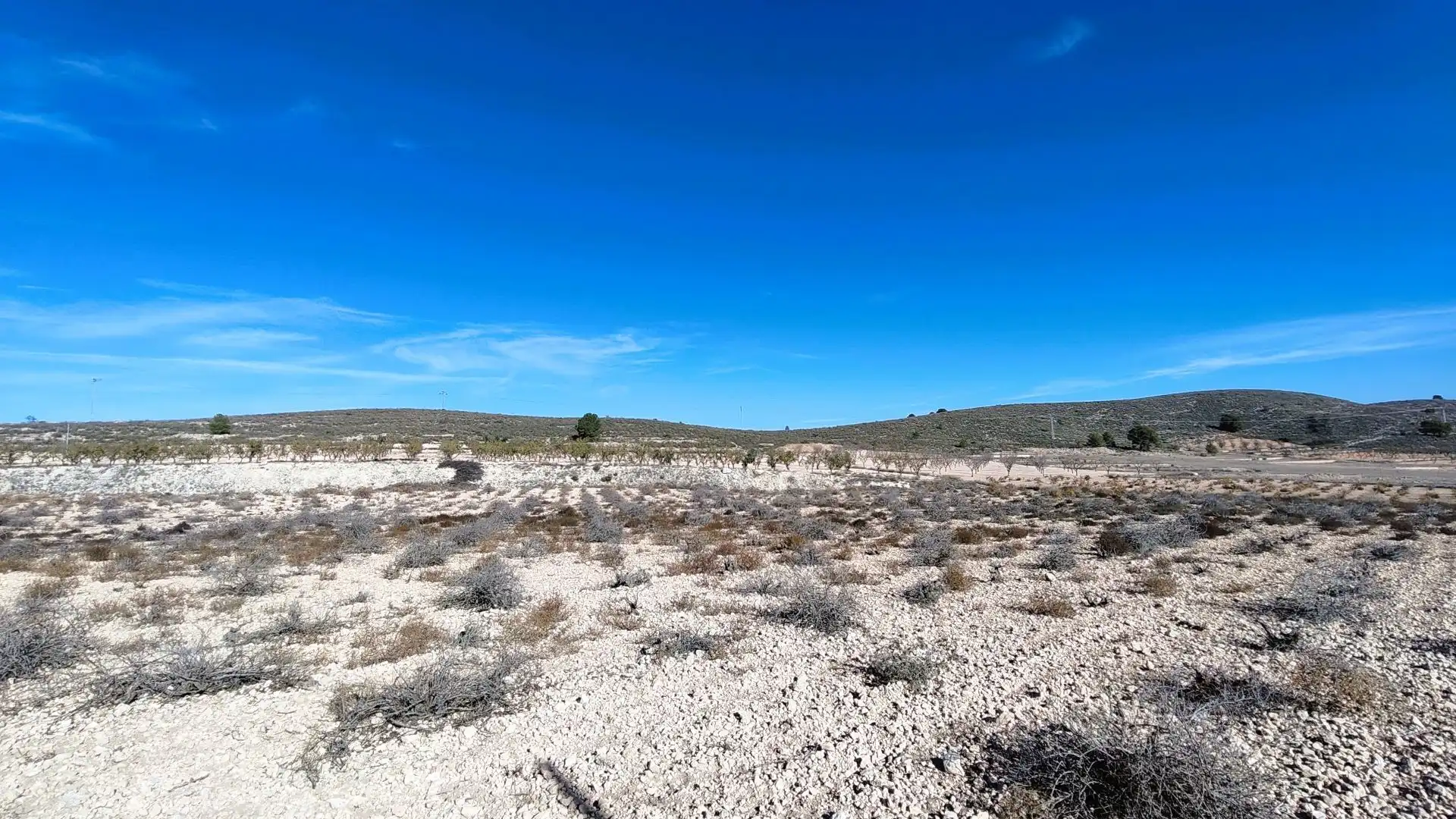 Lands and plots for sale in Abanilla, imagen 9