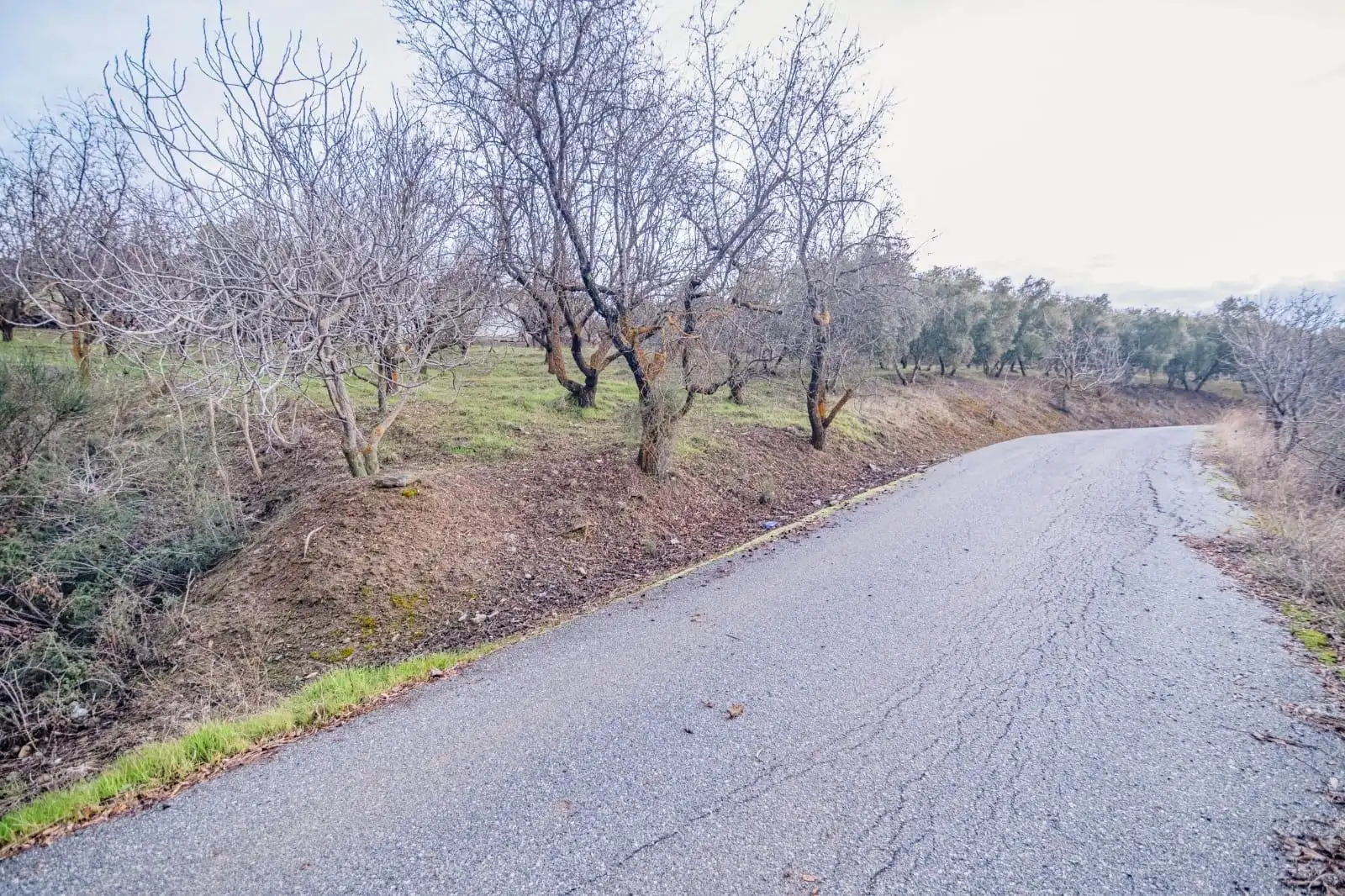Lands and plots for sale in Autovia Pinos Genil, imagen 7