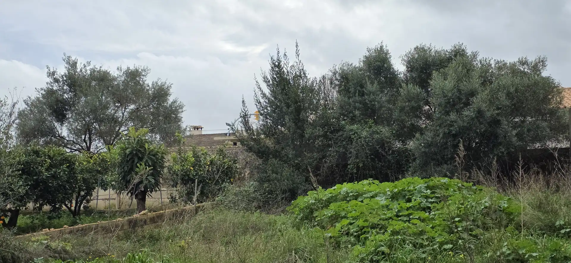 Residential land for sale in Sant Llorenç des Cardassar, imagen 3
