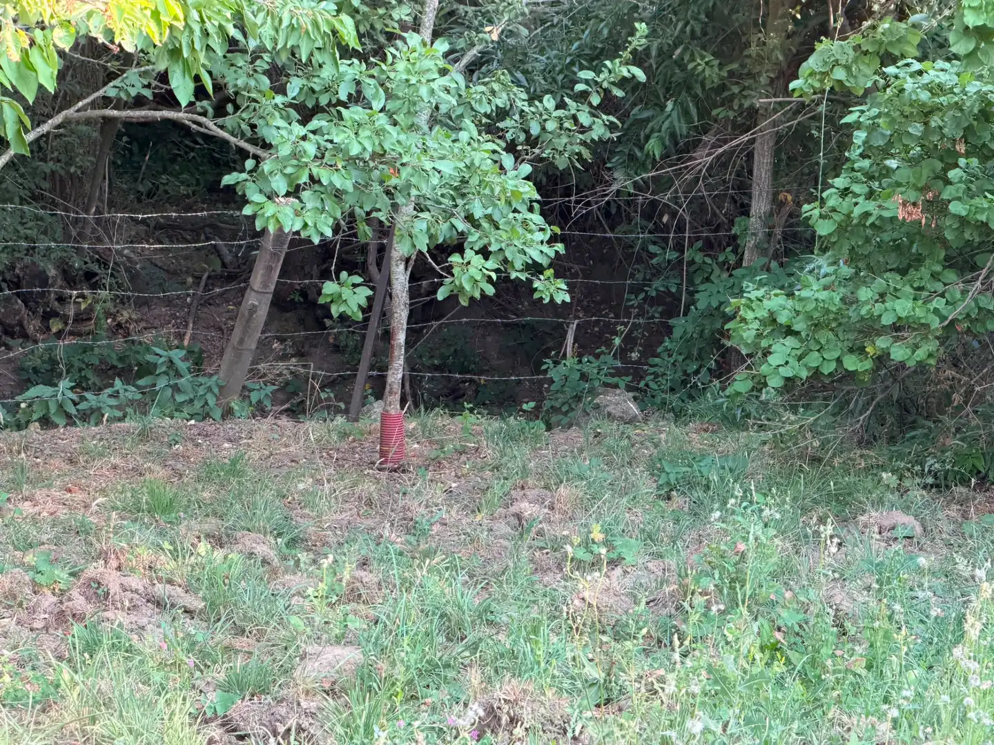 Casa o chalet en venta en Cillán