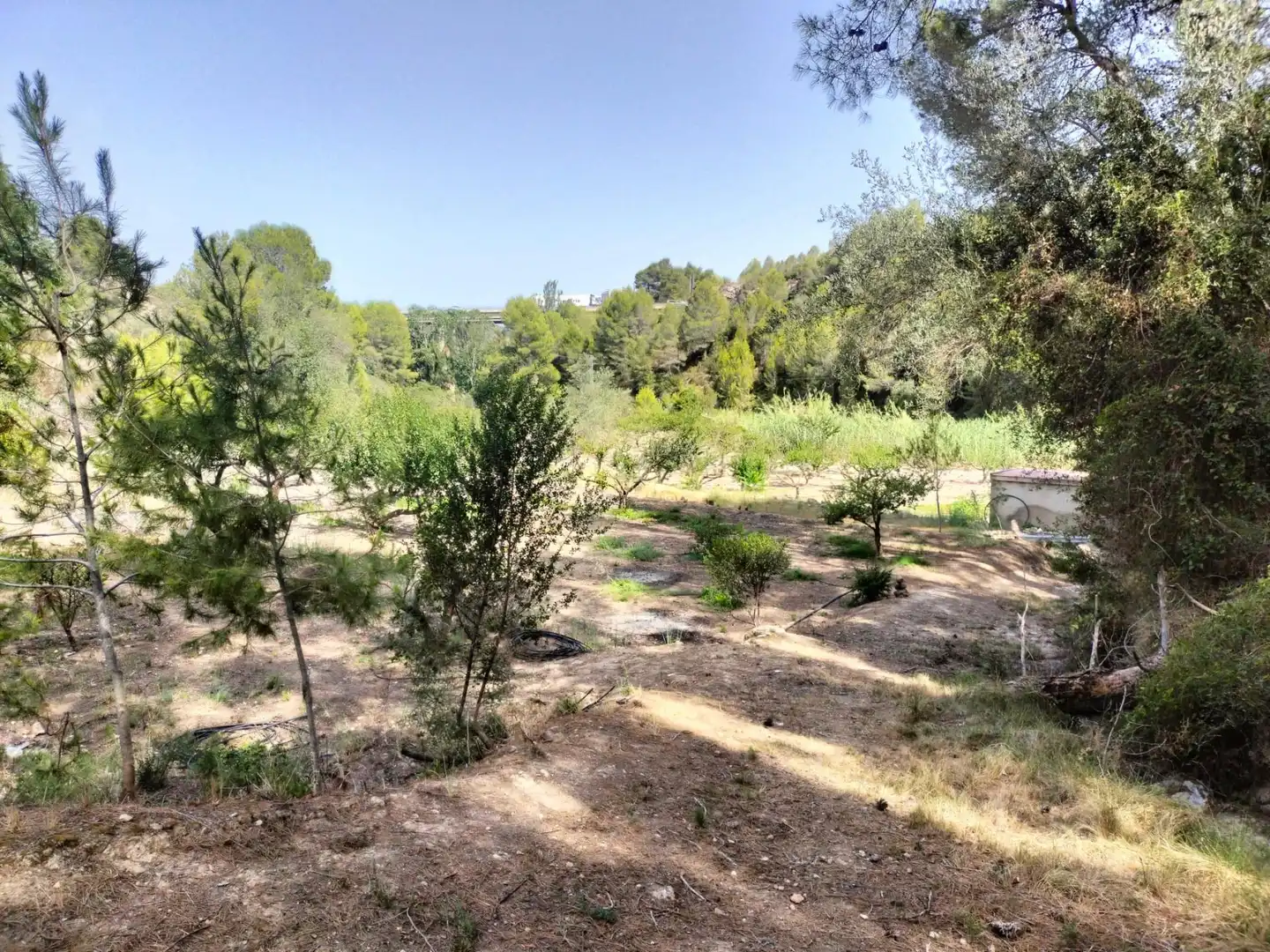 Local en venta en L'Alcúdia de Crespins