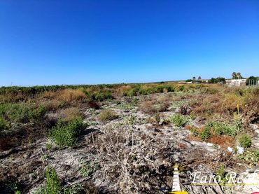 Terreno rustico in vendita a Las Palmeras - Dehesilla