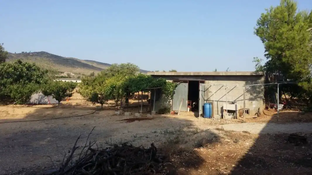 Terreno rústico en venta en Montroi / Montroy, imagen 5