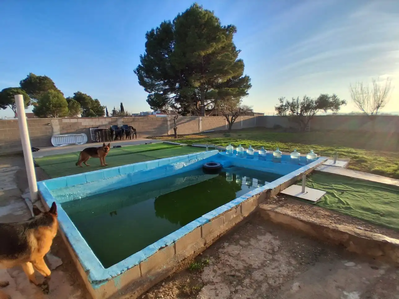 Piscina de Casa o chalet en venta en Osera de Ebro con Jardín privado, Trastero y Piscina