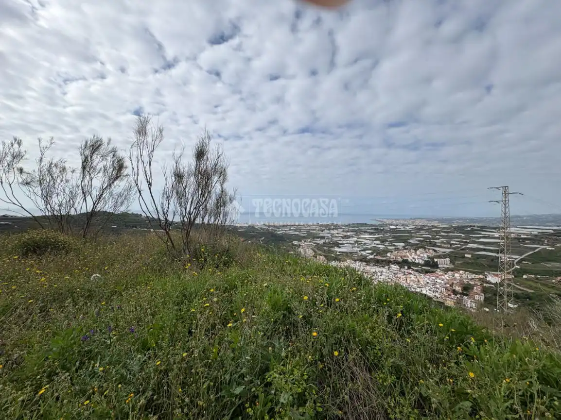 Terreny rústic en venda a Algarrobo pueblo, imagen 11