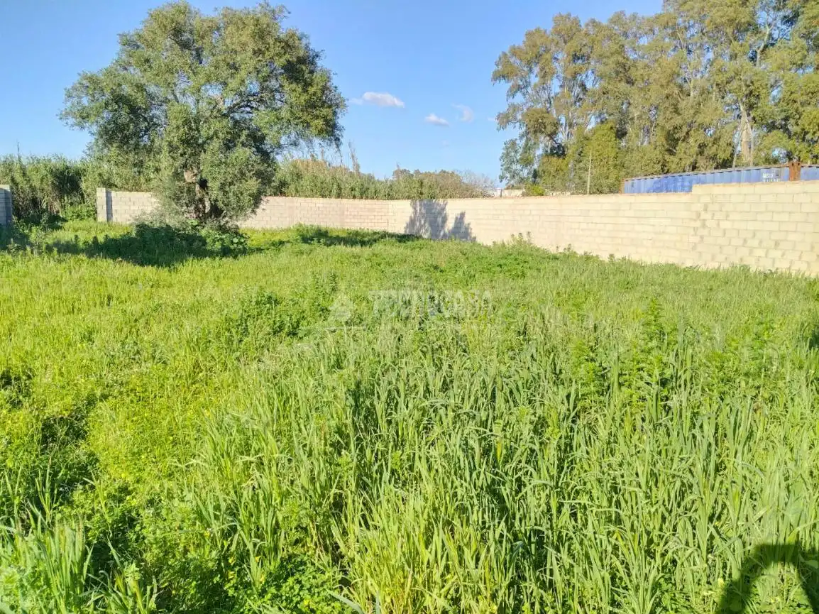 Terreno en venta en Chiclana de la Frontera