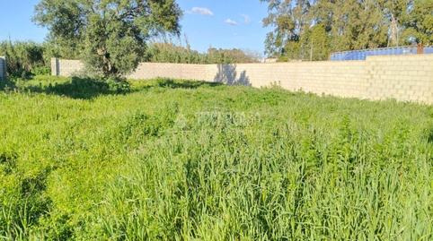 Foto 2 de Terreno en venta en La Soledad, Chiclana de la Frontera