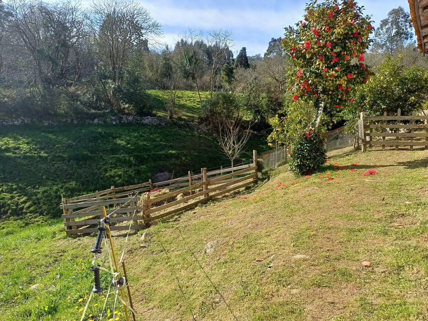 Casa o xalet en venda en Illas amb Terrassa, Traster i Piscina
