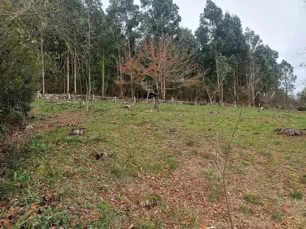 Residencial en venda en A Cañiza  
