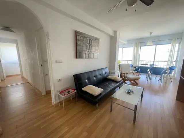 Living room of Flat for rent in Alicante / Alacant  with Terrace, Furnished and Balcony