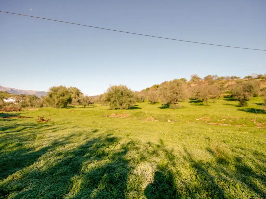 Country homes for sale in Coín