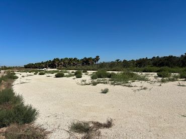 Rustikales Grundstück zum Verkauf in La Foia - Daimés - Asprella