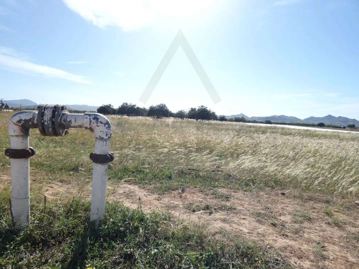 Terreni e lotti in vendita a Pedanías Oeste, imagen 13