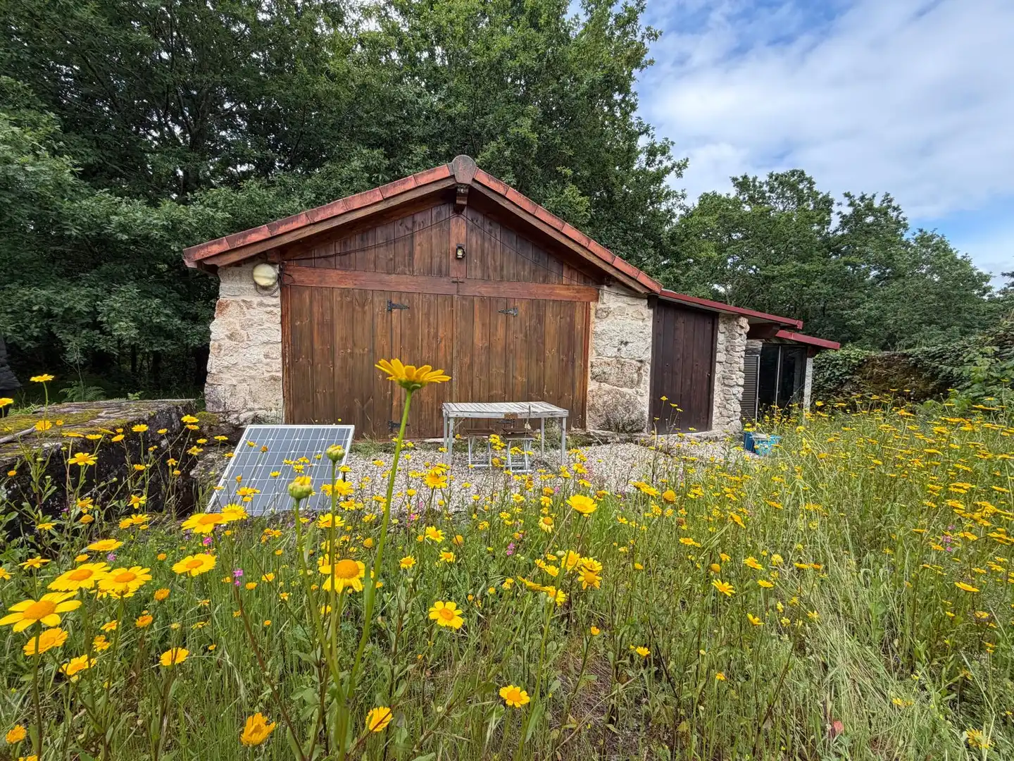 Vista exterior de Casa o chalet en venta en A Cañiza   con Jardín privado