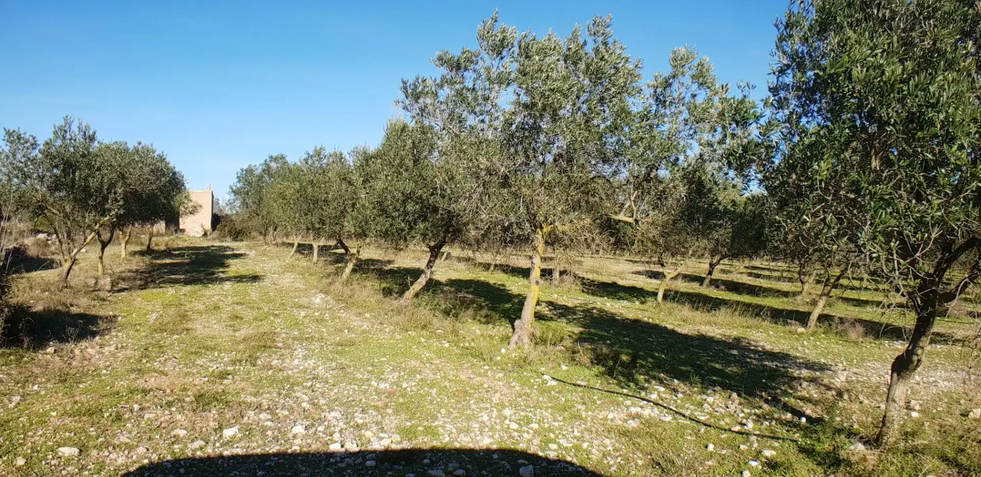 Finca rústica en venta en El Perelló con Jardín privado, Terraza y Trastero