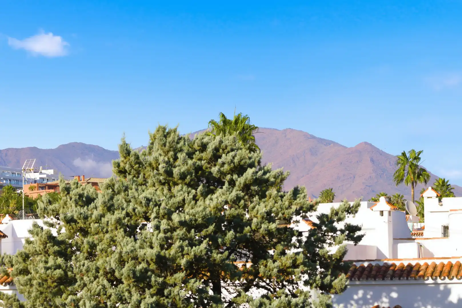 Vista exterior de Casa o chalet en venta en Casares con Jardín privado, Terraza y Piscina