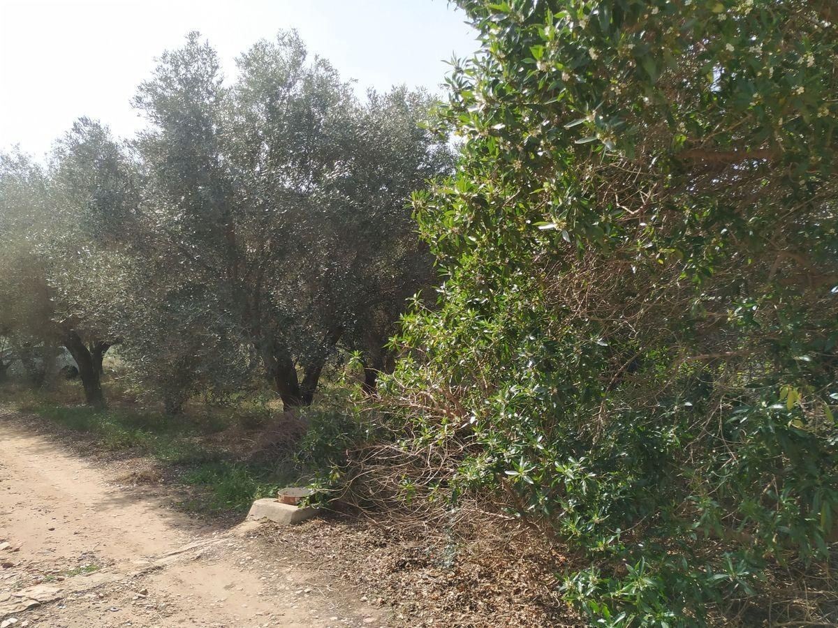 Finca rústica en venta en Valletes - Xiribecs