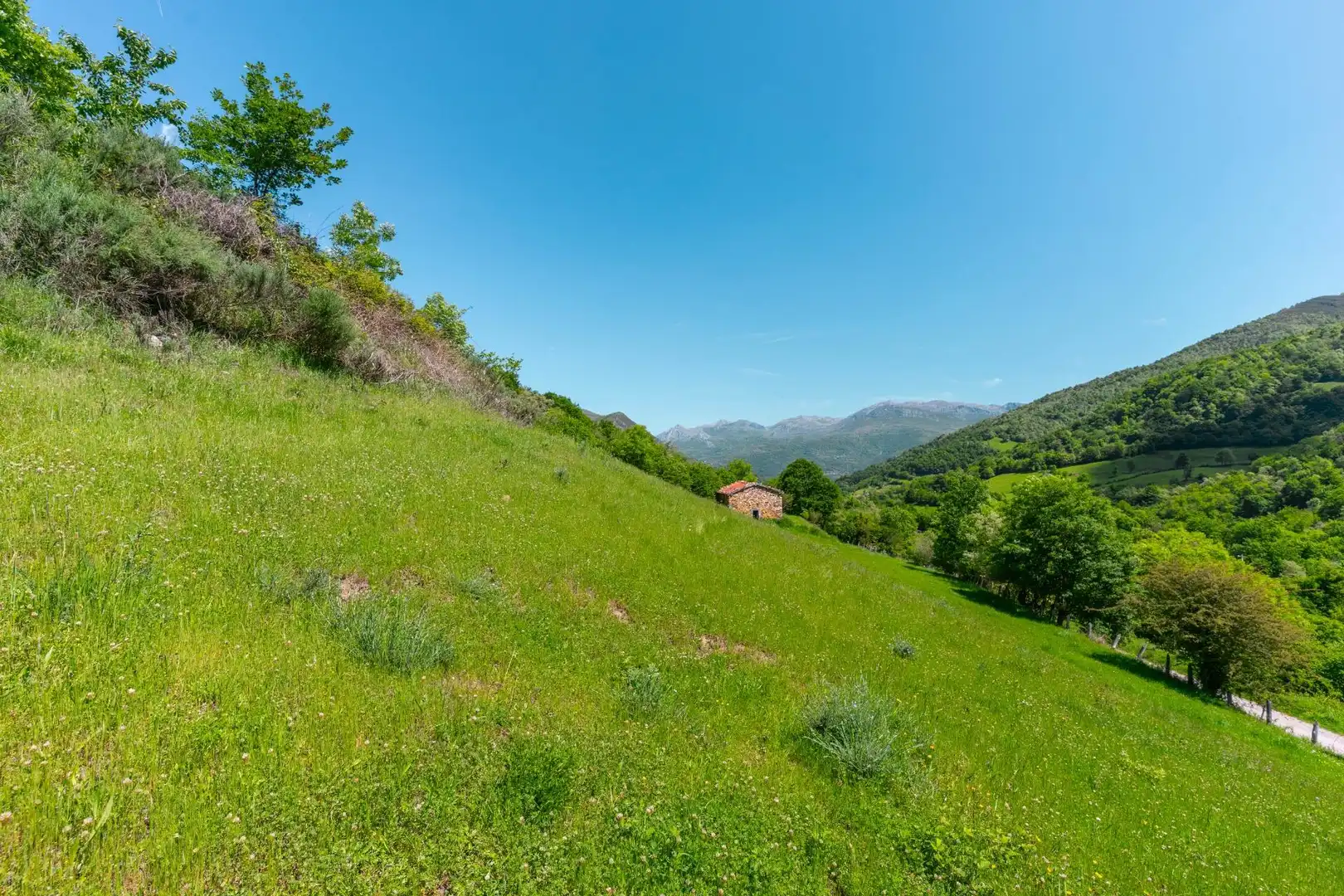Casa o chalet en venta en Quirós