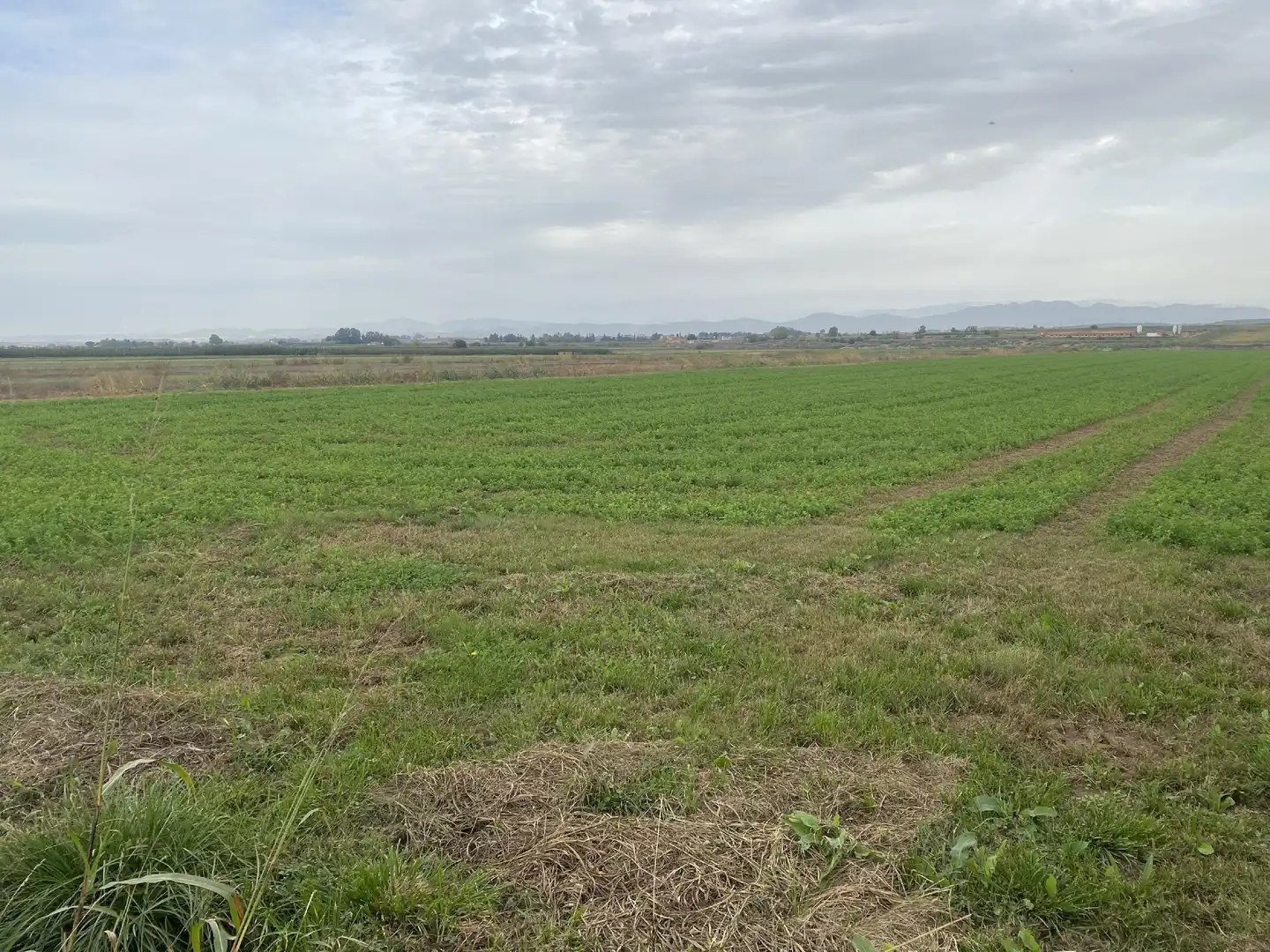 Terreny rústic en venda a Bellcaire d'Urgell, imagen 7