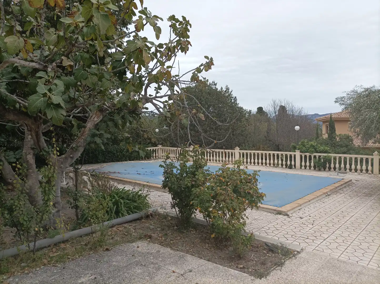 Xalet amb terrassa en venda a Diseminado Sector 2 223, imagen 17