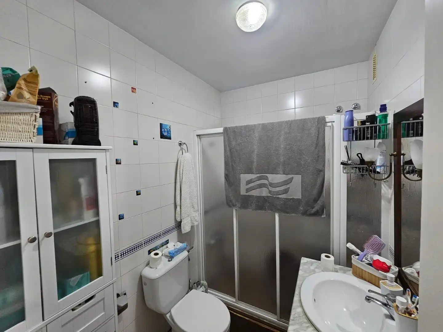 Baño de Casa o chalet en venta en Osuna