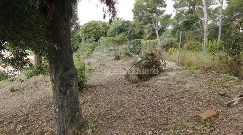 Parcel.la ascendent de 814m2 a la urbanització Les Ginesteres, imatge 3