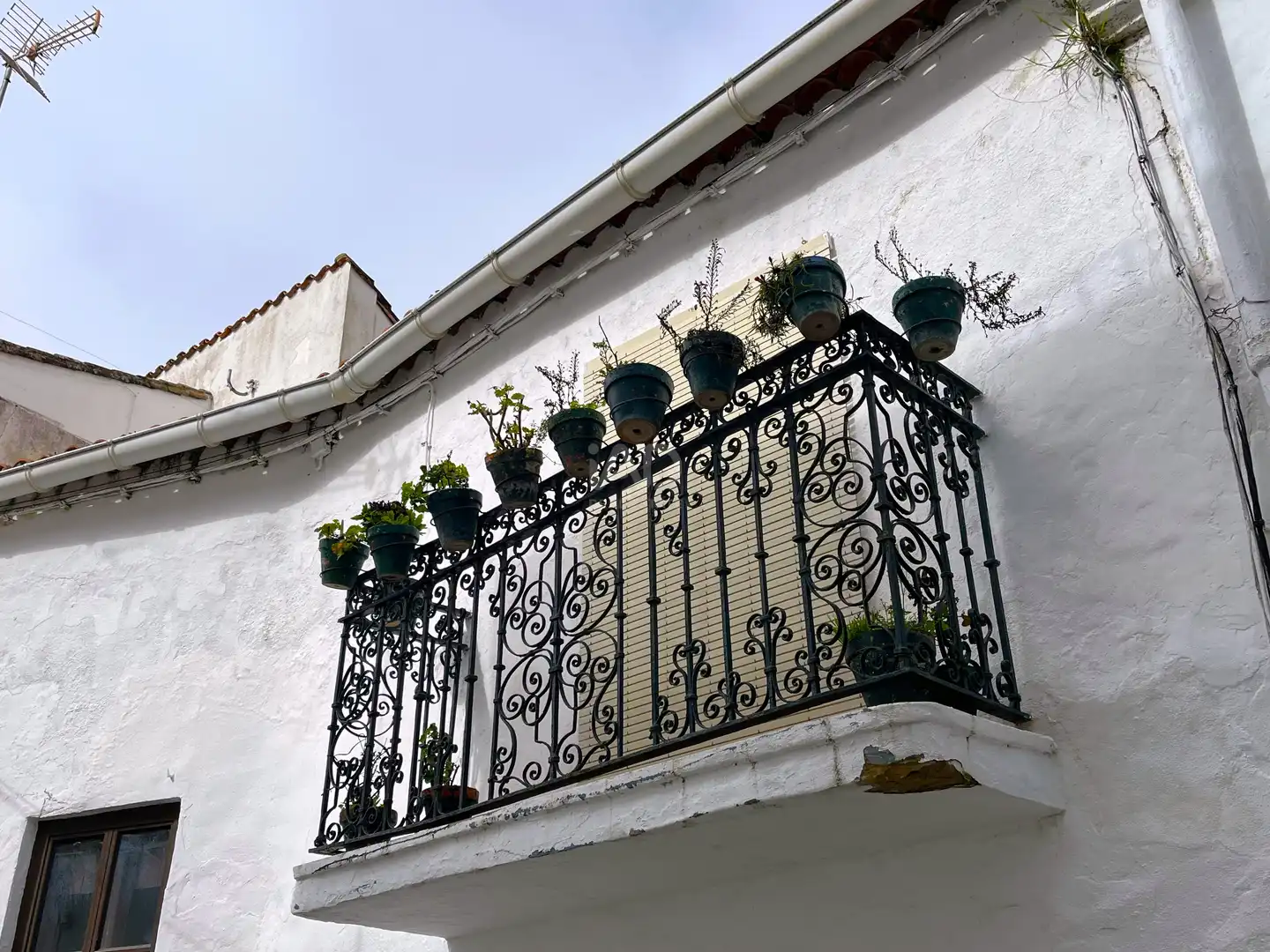 Finca rústica en venta en Calle Martínez Chaparro, 6, Galaroza