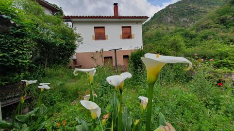 Photo 5 of House or chalet for sale in Belmonte de Miranda, Asturias