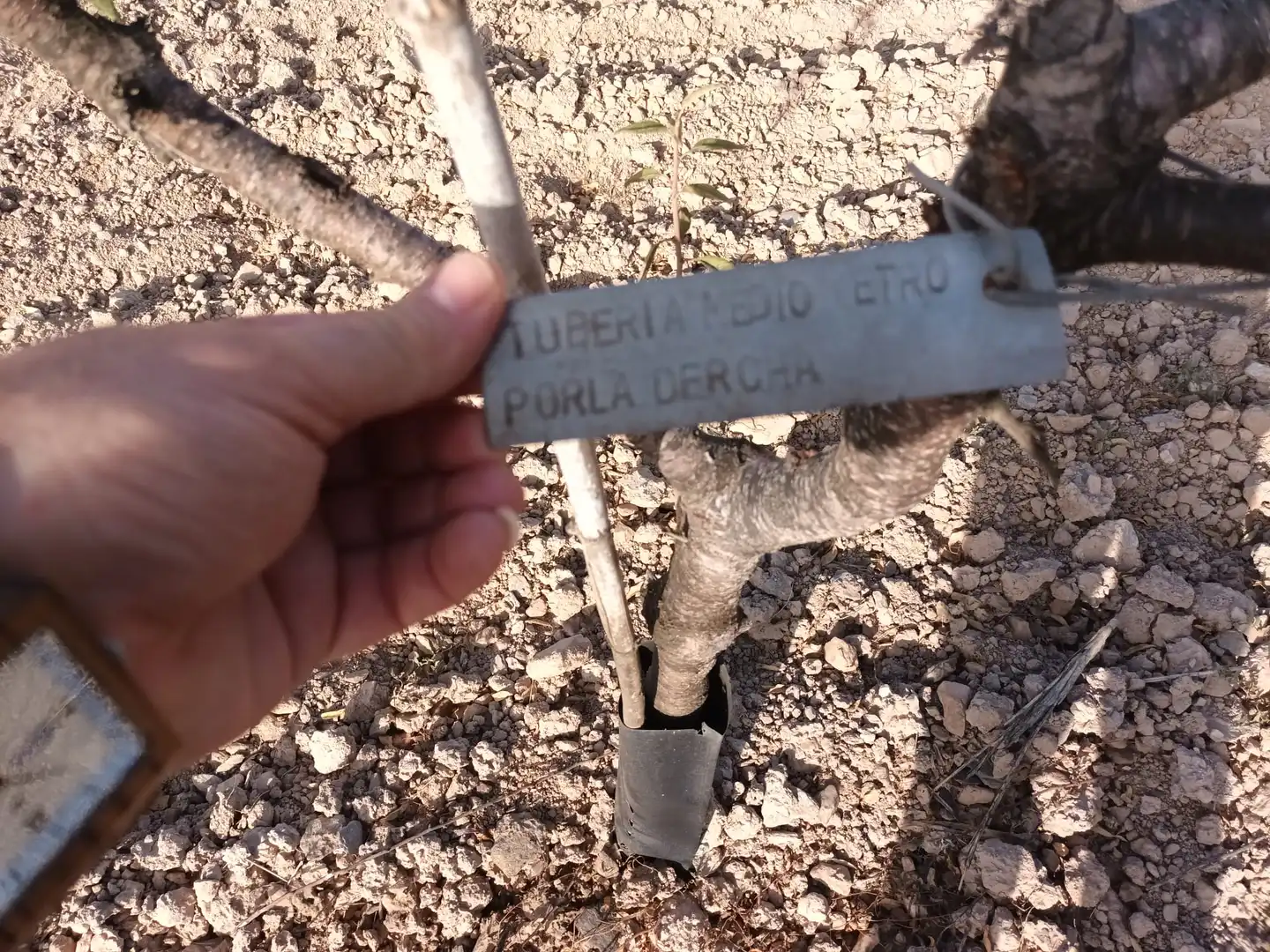 Terreno rustico in vendita a Lugar las Barrenas 6, imagen 19