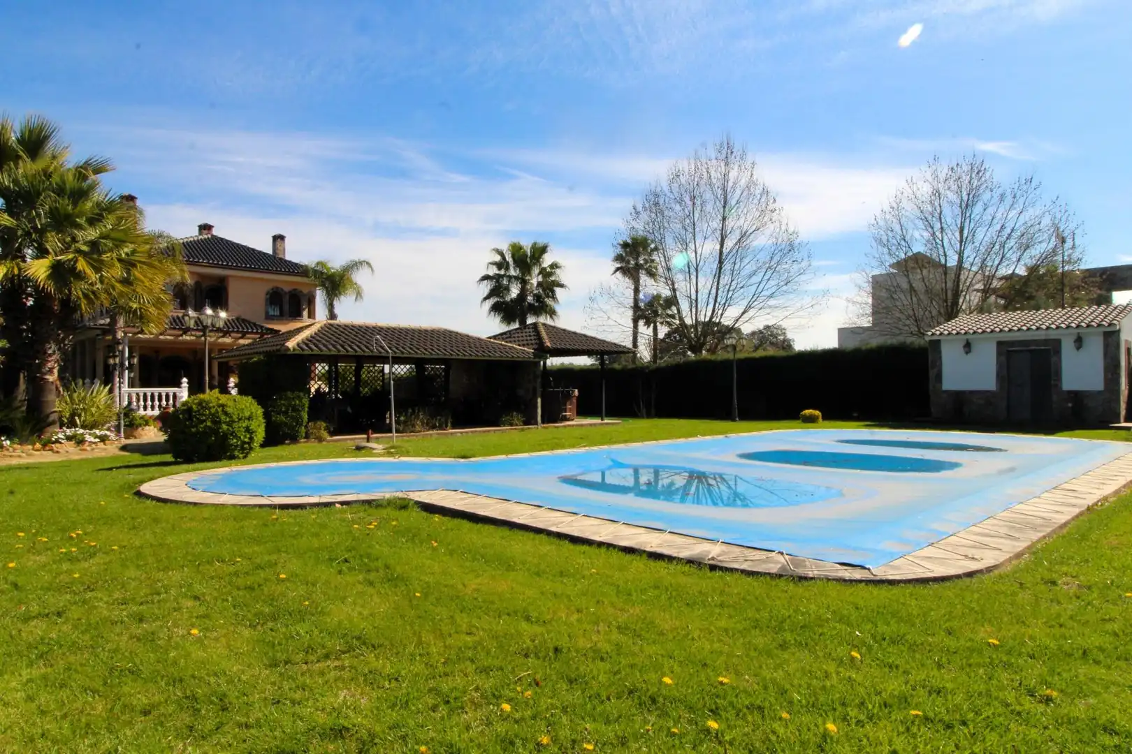 Casa con piscina en venta en Carretera de Sevilla - Los Montitos, imagen 58