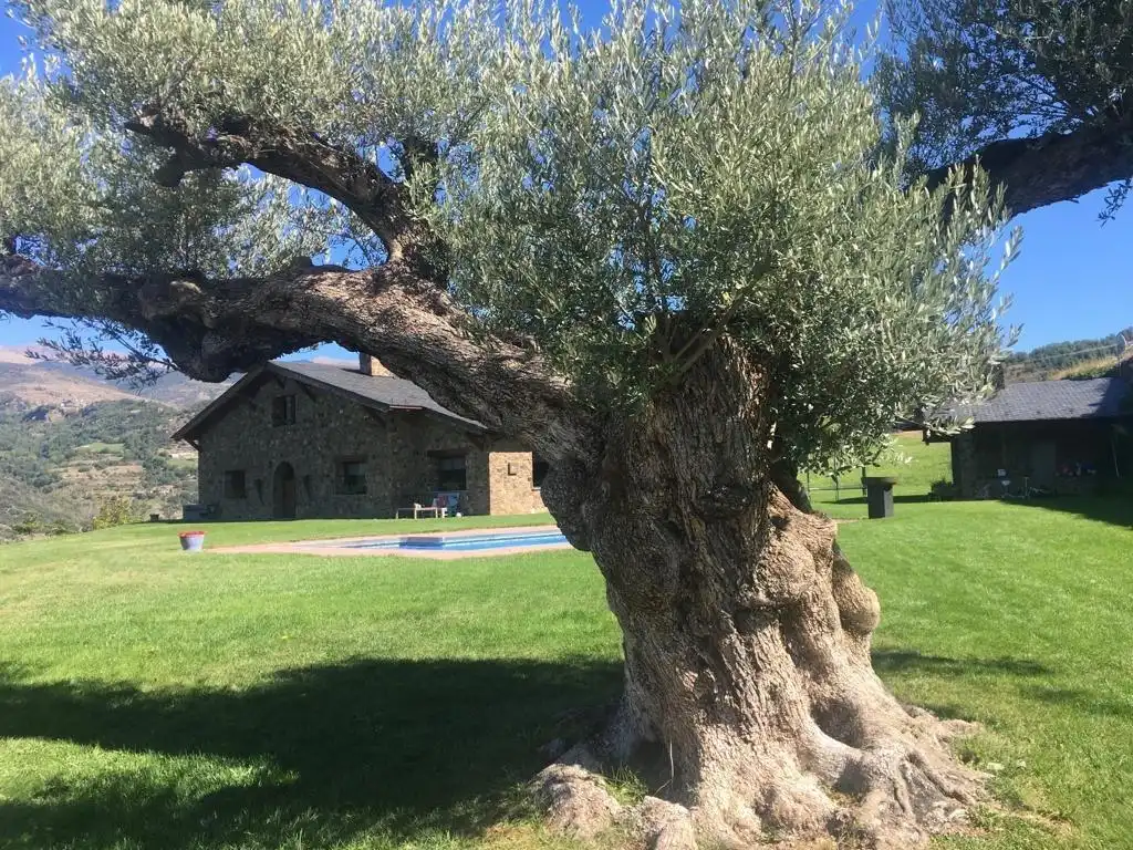 Maison rustique à vendre à Alàs i Cerc, imagen 13