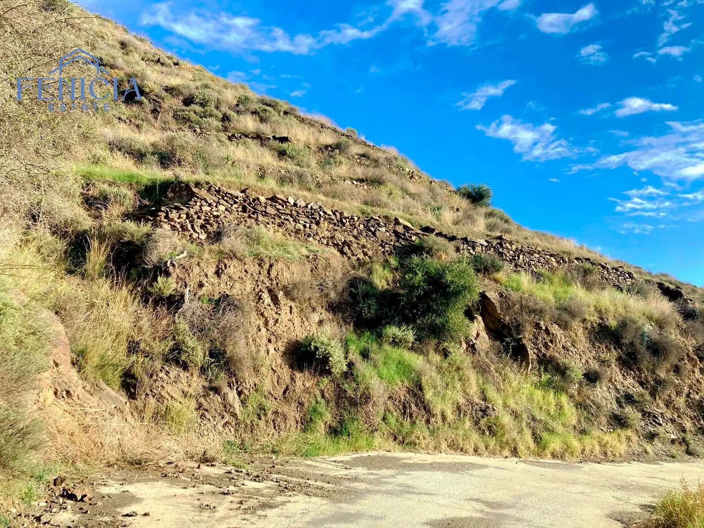Terreny rústic en venda a Monte los Almendros - El Pargo - Costa Aguilera, imagen 3