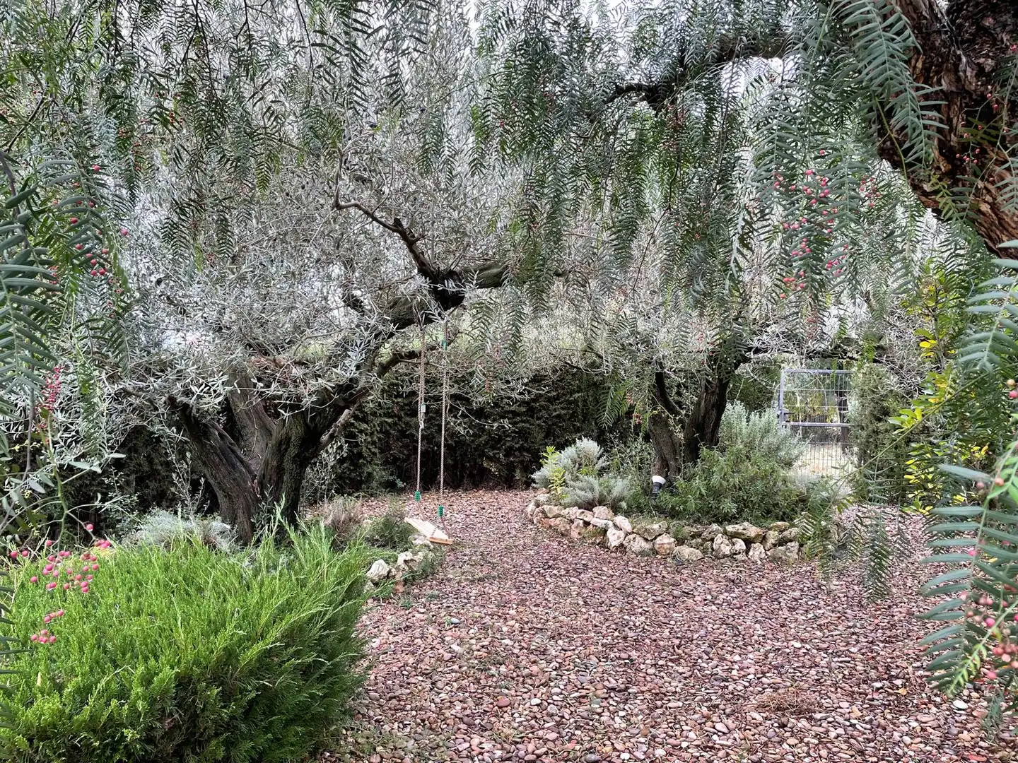 Villa mit Pool zum Verkauf in Carrer Camp de Futbol, imagen 4