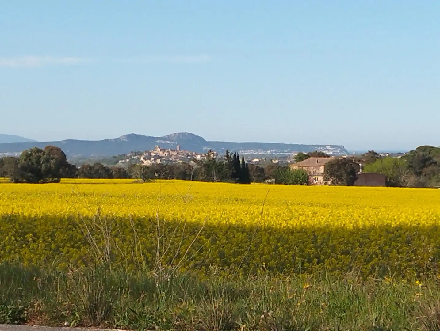 Vista exterior de Àtic de lloguer en Ullastret
