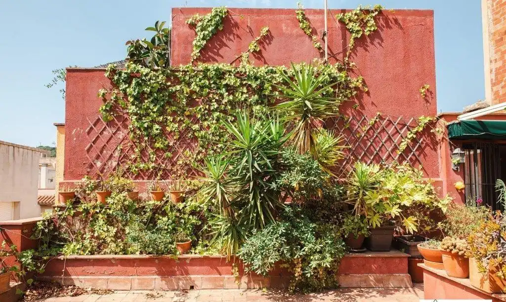 Haus zum Verkauf in Carrer dels Especiers, imagen 33
