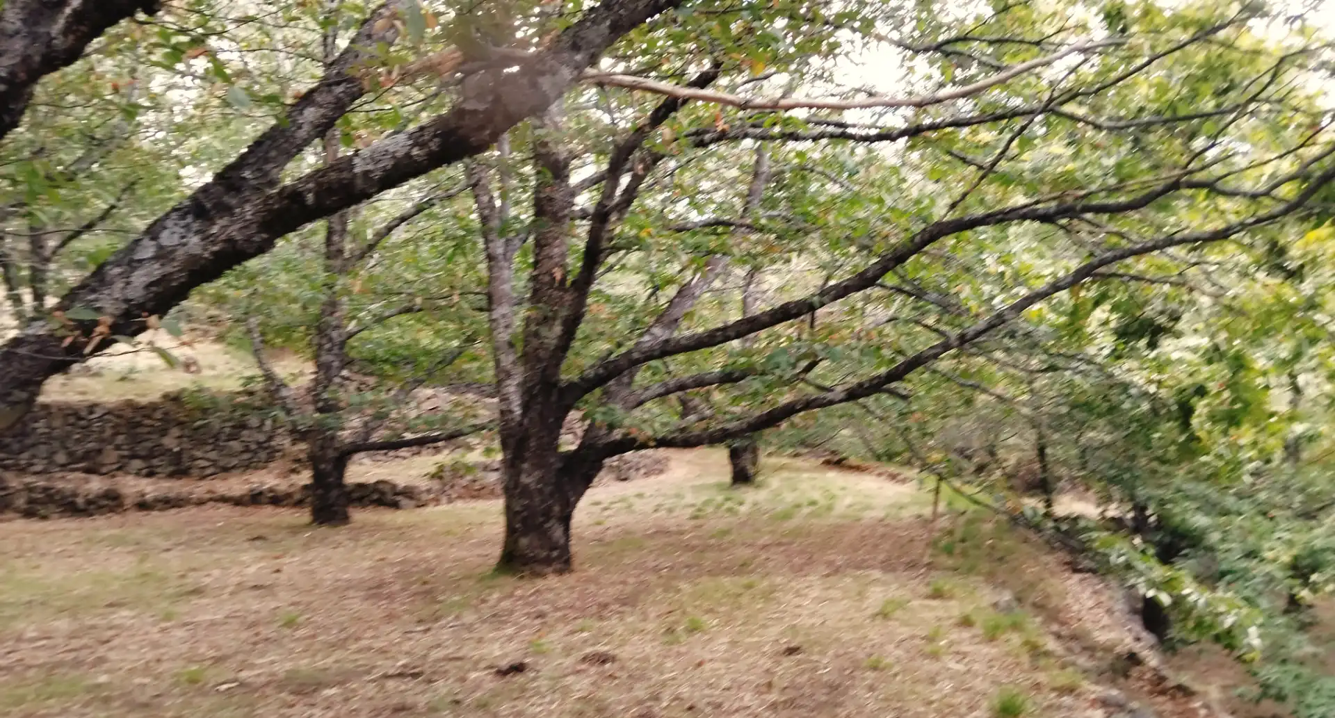 Rustikales Grundstück zum Verkauf in Avenida Extremadura 72