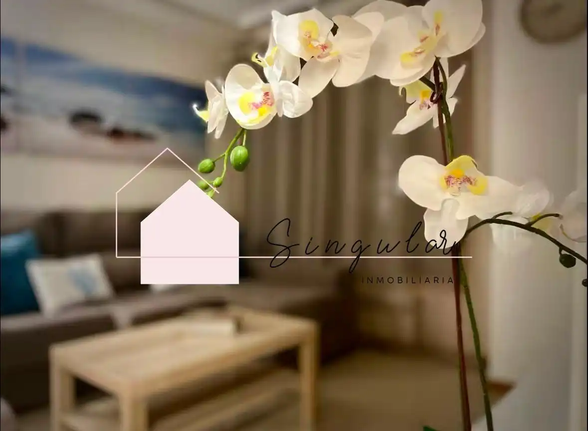 Living room of Flat for rent in Salceda de Caselas  with Heating and Furnished