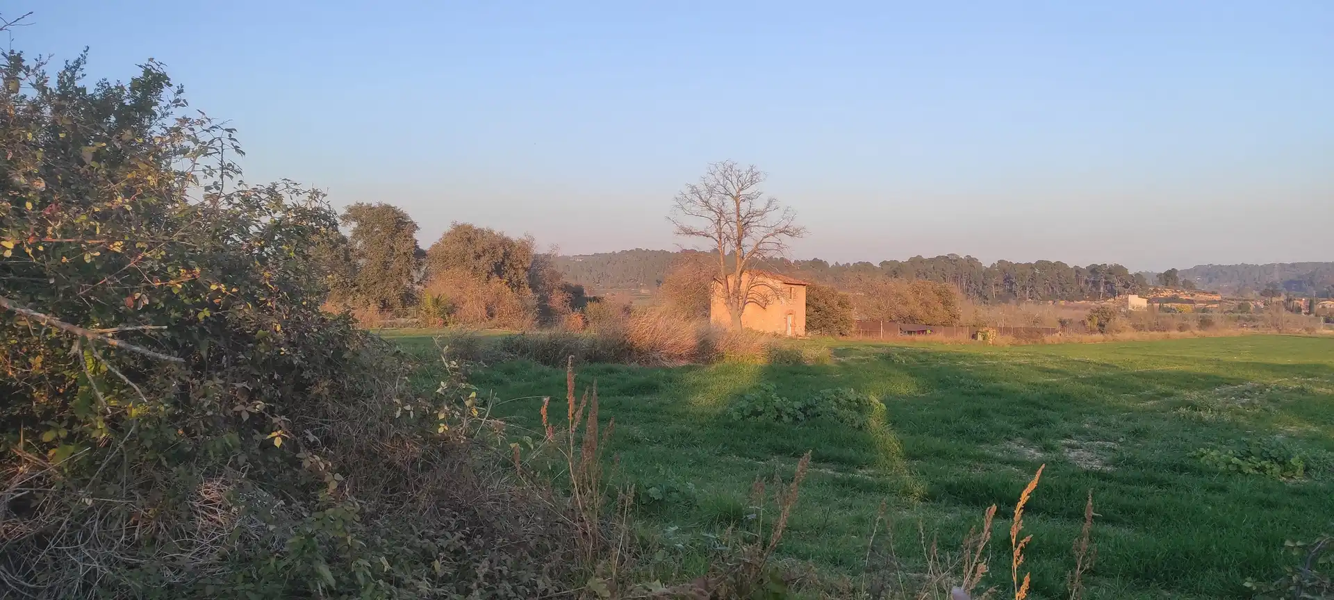 Terreny rústic en venda a Carretera Maso la a Vallmoll 1, imagen 7