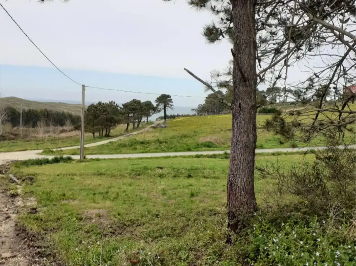 Land for sale in Fisterra