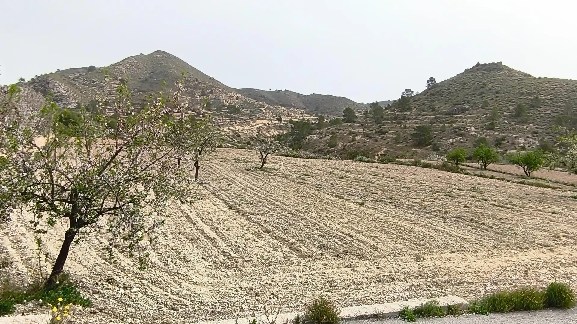 Finca rústica en venta en Aigües con Jardín privado