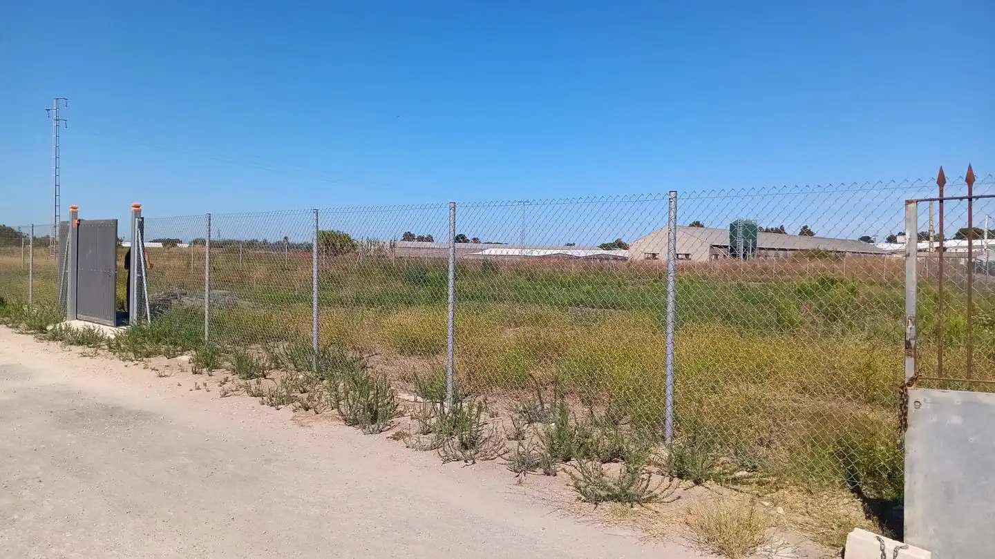 Terreni e lotti in vendita a Los Llanos, imagen 2