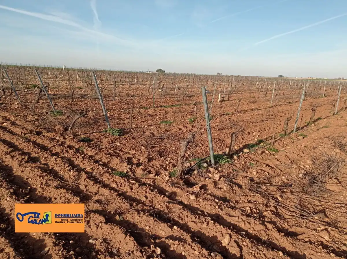 Rural land for sale in Valdepeñas, imagen 2