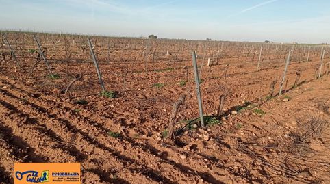 Finca Rúst. en venta en Carretera Daimiel., imatge 2
