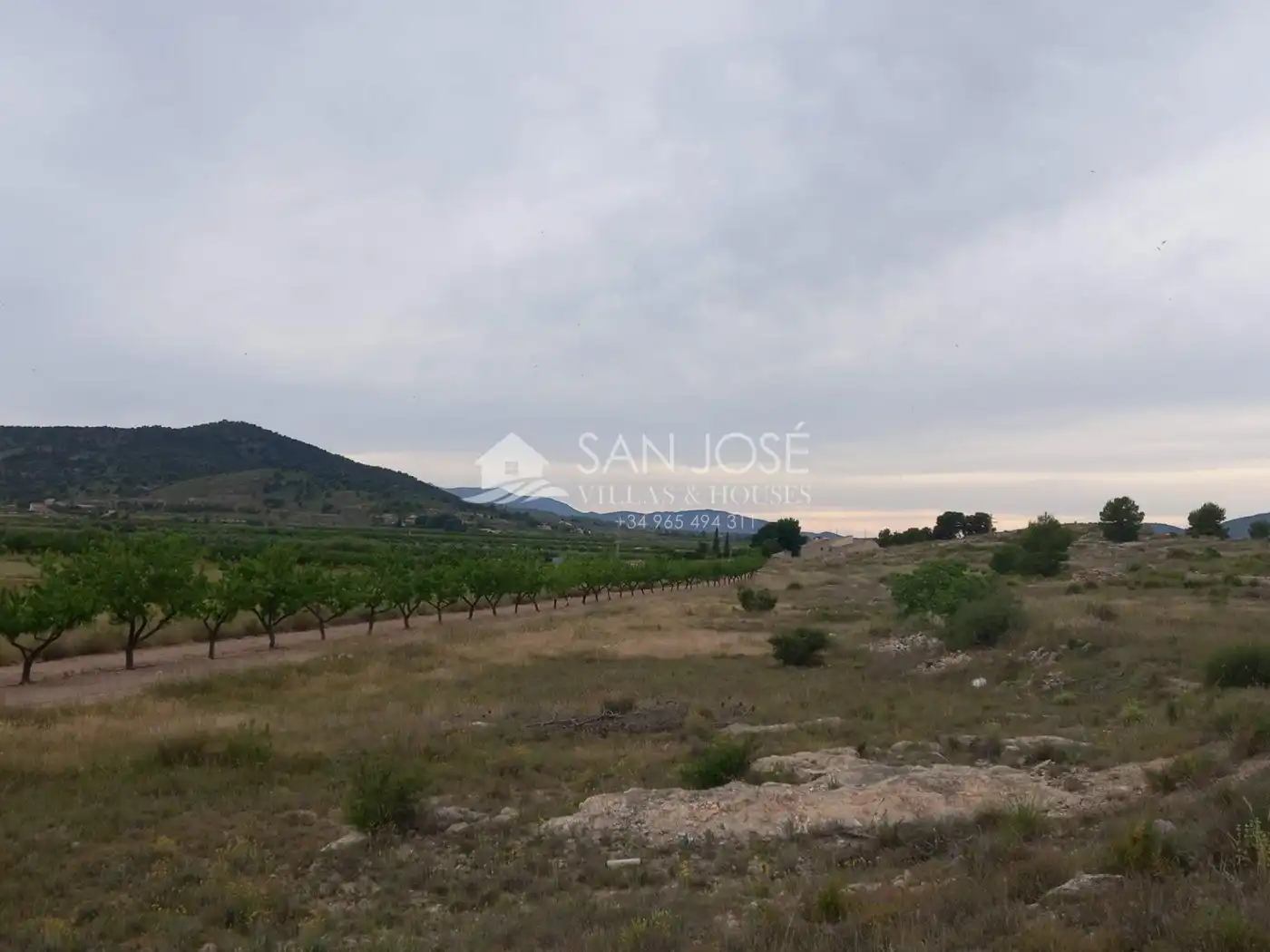 Wohnbaugrundstück zum Verkauf in Monóvar  / Monòver, imagen 5